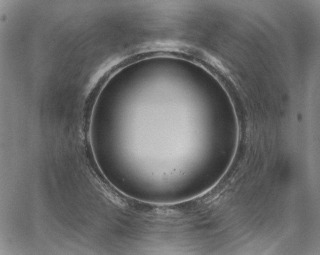 X0000067491312200604071154