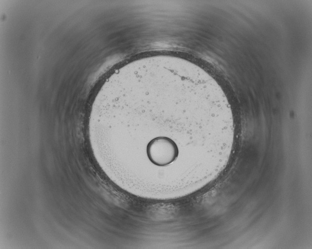 X0000067491314200604071154