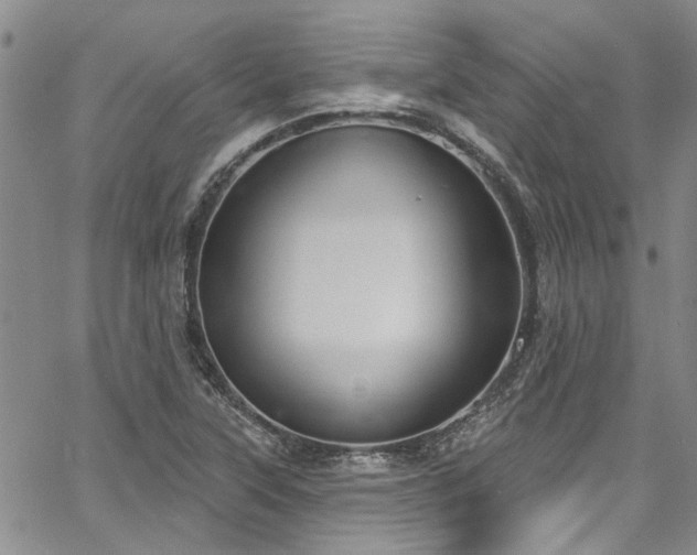 X0000067491315200604071154