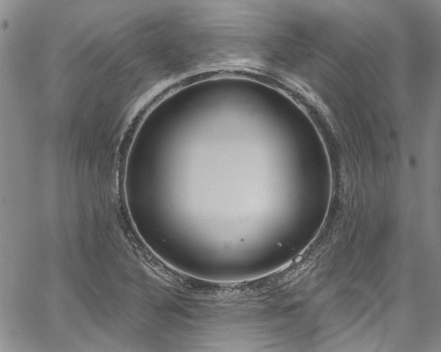 X0000067491316200604071154