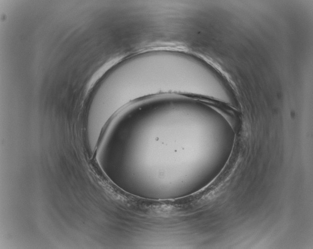 X0000067491317200604071154