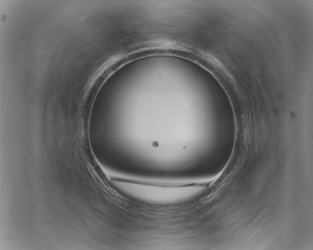 X0000067491318200604071154