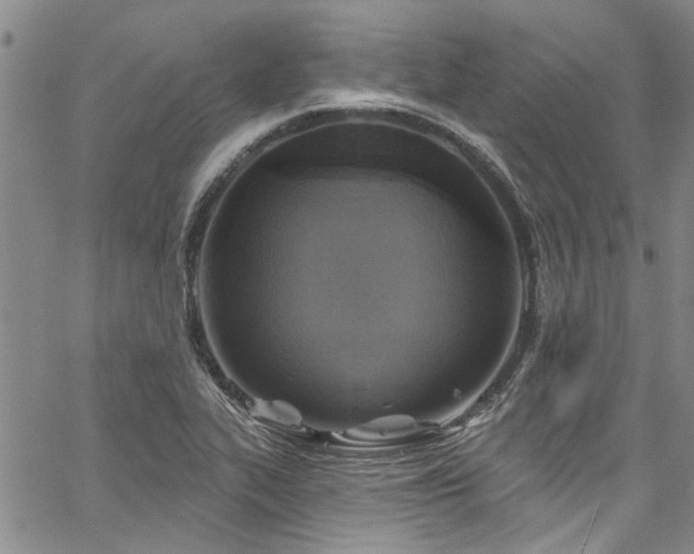 X0000067491319200604071154