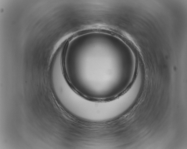 X0000067491320200604071154