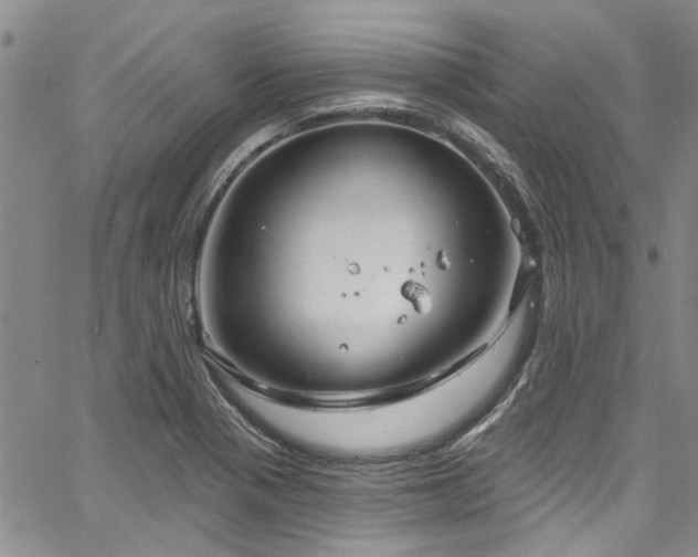 X0000067491321200604071154