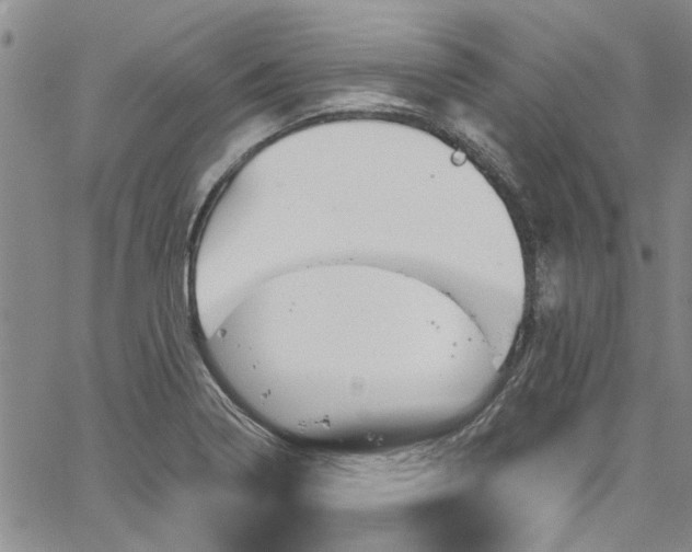 X0000067491322200604071154