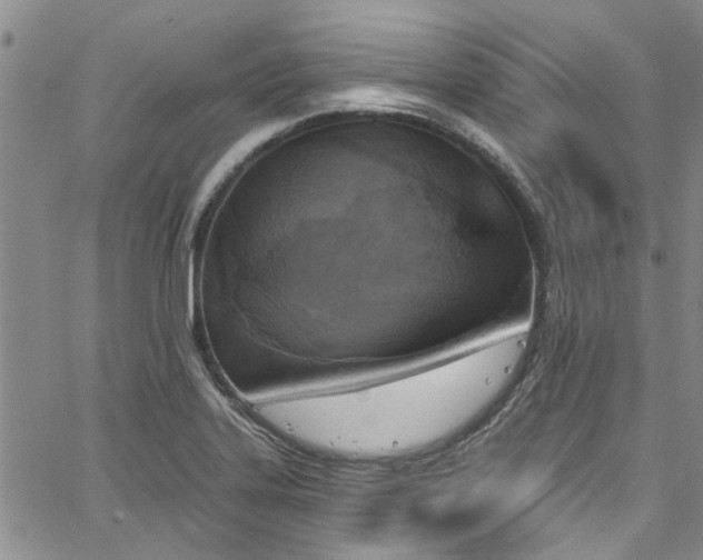 X0000067491323200604071154