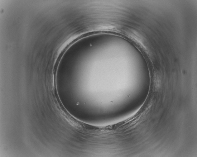 X0000067491324200604071154