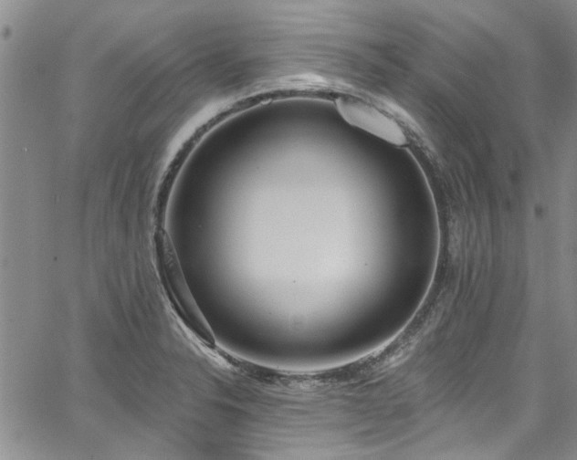 X0000067491326200604071154