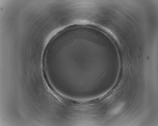 X0000067491327200604071154