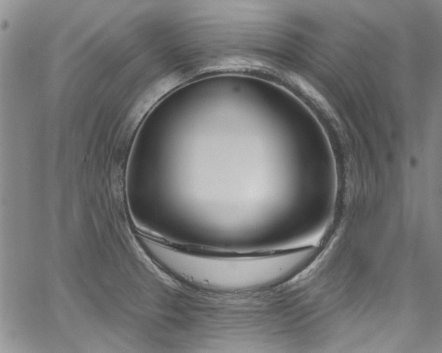 X0000067491329200604071154