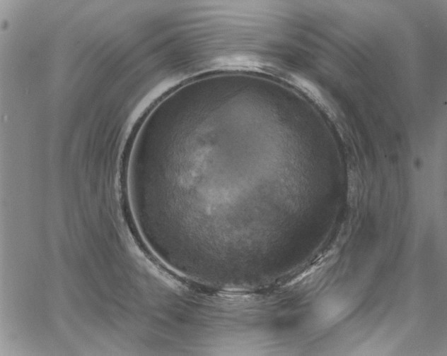 X0000067491331200604071154