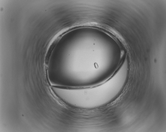 X0000067491332200604071154