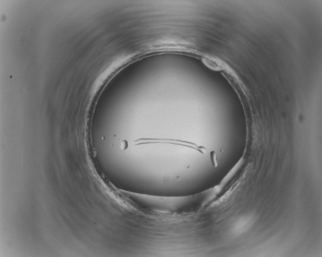 X0000067491333200604071154