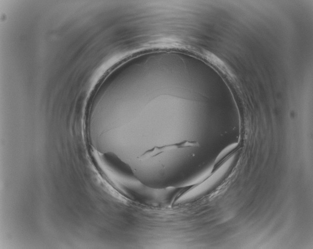 X0000067491334200604071154