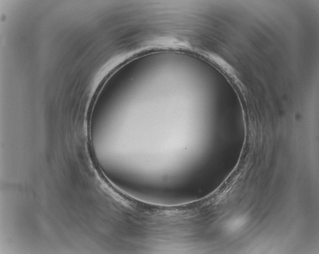 X0000067491335200604071154