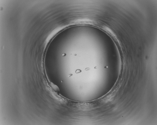 X0000067491336200604071154