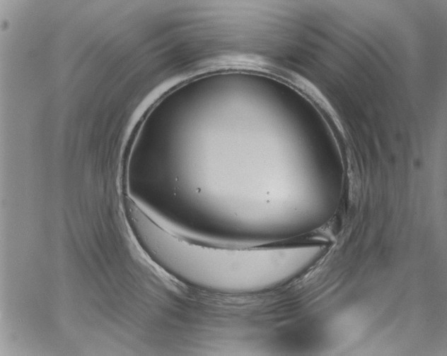 X0000067491339200604071154