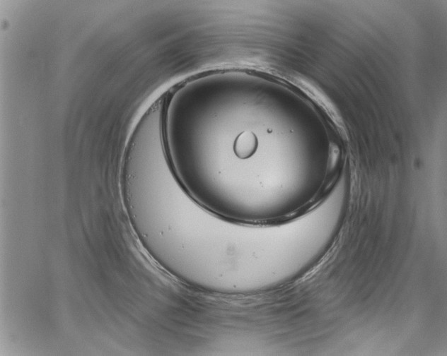 X0000067491340200604071154