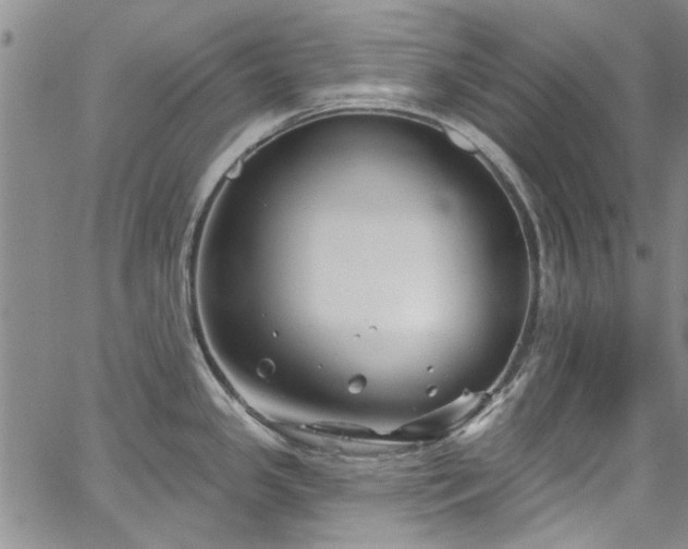 X0000067491341200604071154