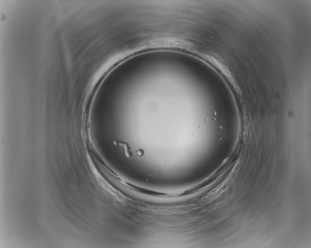 X0000067491342200604071154