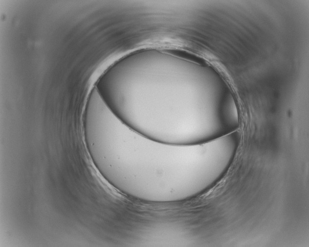 X0000067491344200604071154