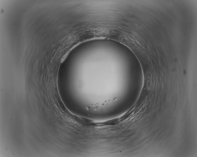 X0000067491345200604071154