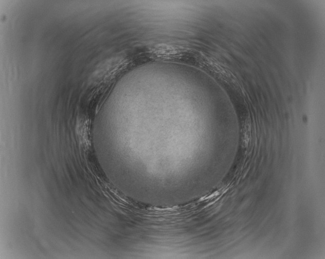 X0000067491346200604071153