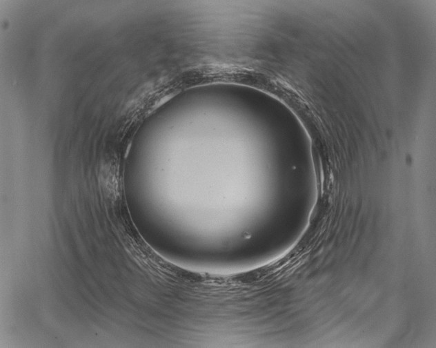 X0000067491348200604071153