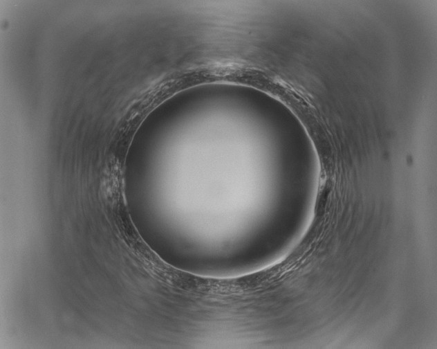 X0000067491349200604071153