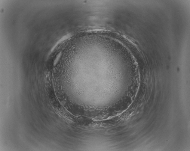 X0000067491351200604071153