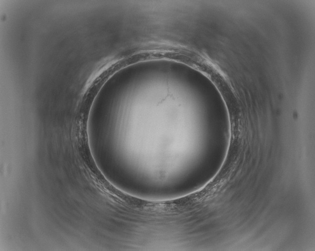 X0000067491352200604071153