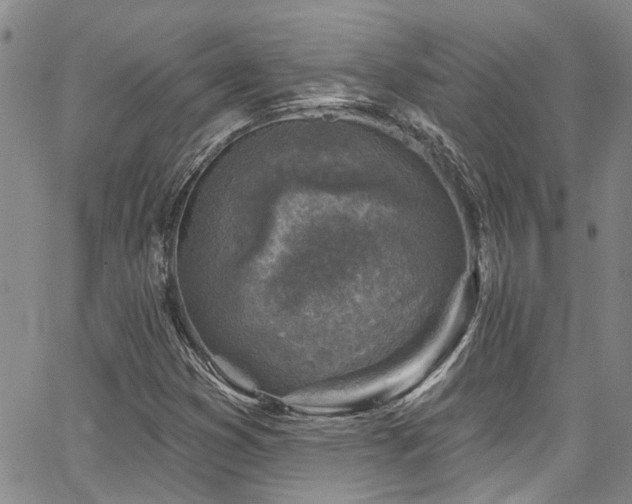 X0000067491353200604071153