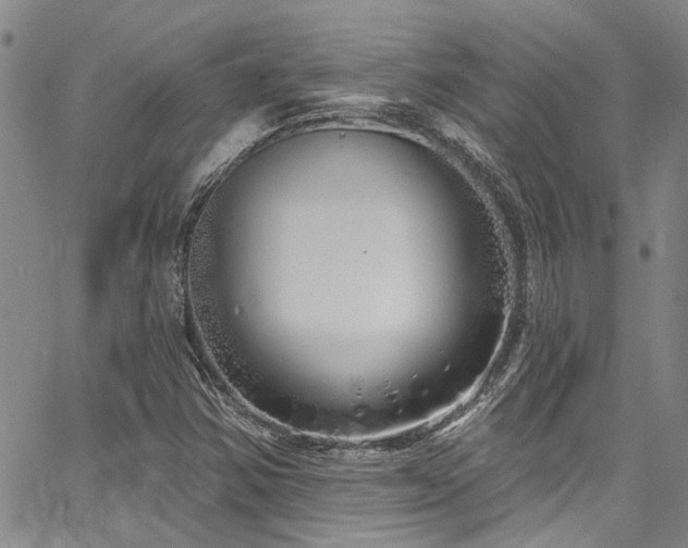 X0000067491354200604071153