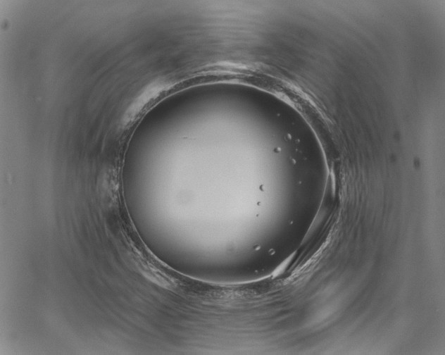 X0000067491355200604071153