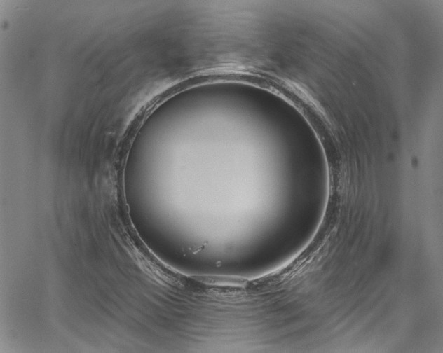 X0000067491356200604071153