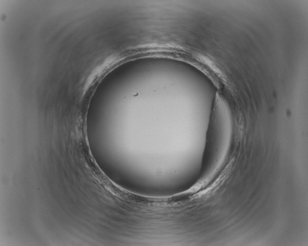 X0000067491357200604071153