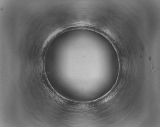 X0000067491358200604071153