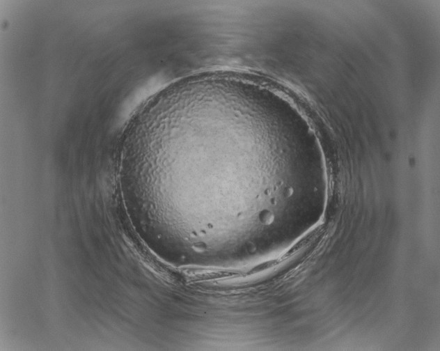 X0000067491359200604071153