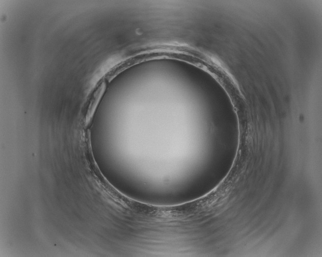 X0000067491360200604071153