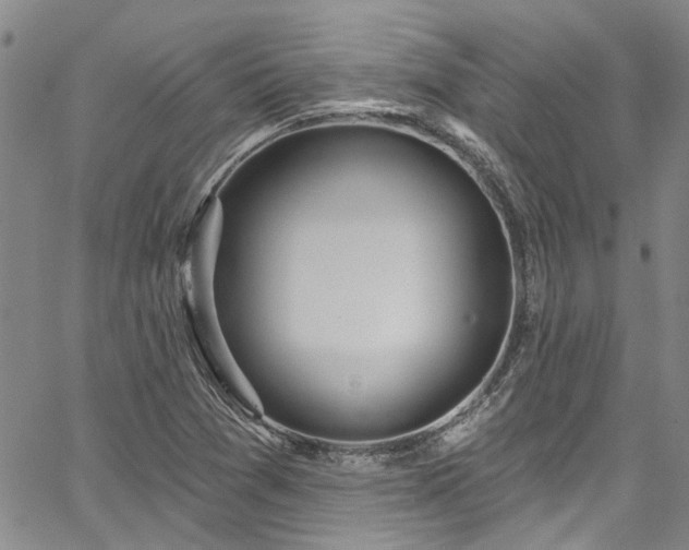 X0000067491361200604071153