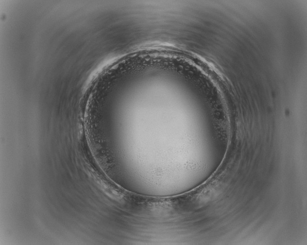 X0000067491363200604071153