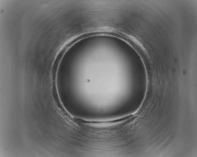 X0000067491364200604071153