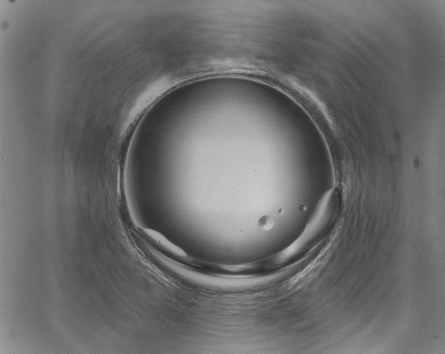 X0000067491365200604071153