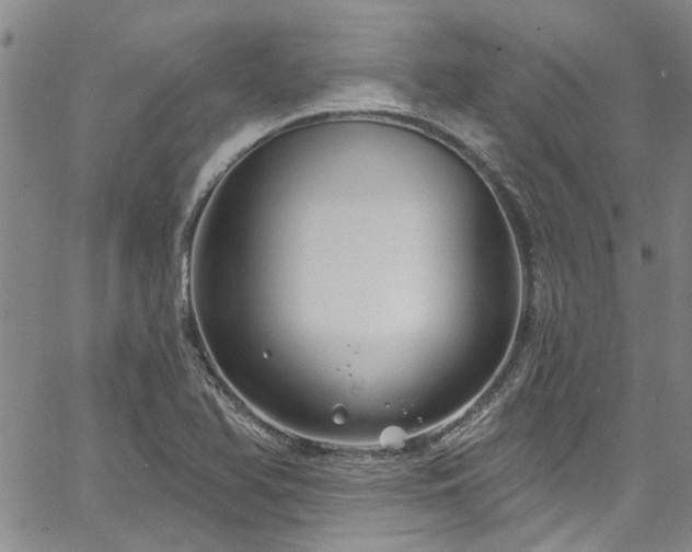 X0000067491366200604071153