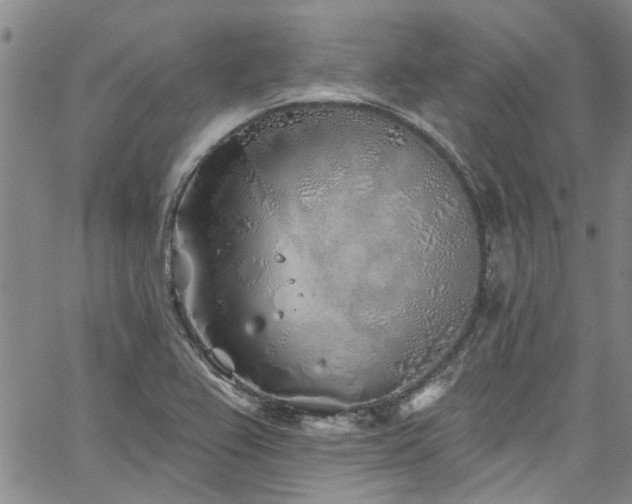 X0000067491367200604071153