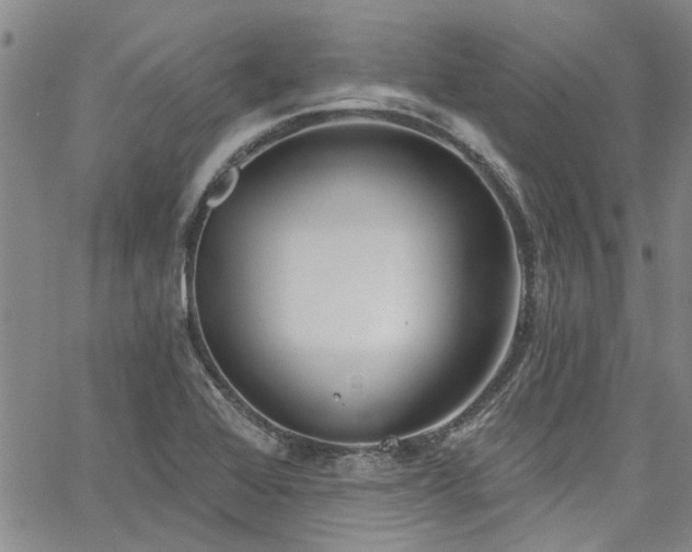 X0000067491368200604071153