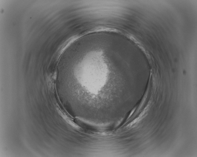 X0000067491369200604071153