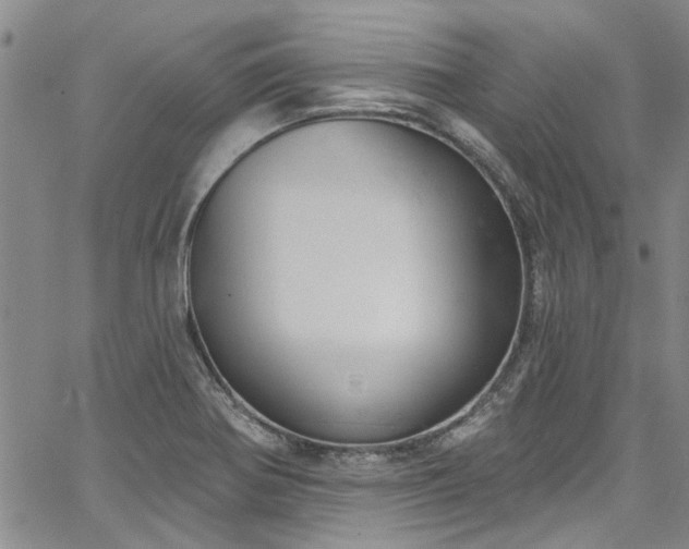 X0000067491370200604071153