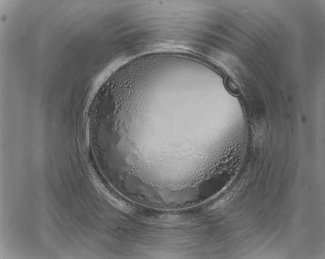 X0000067491371200604071153